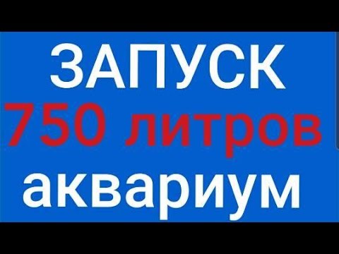 Природный аквариум: мастер-класс