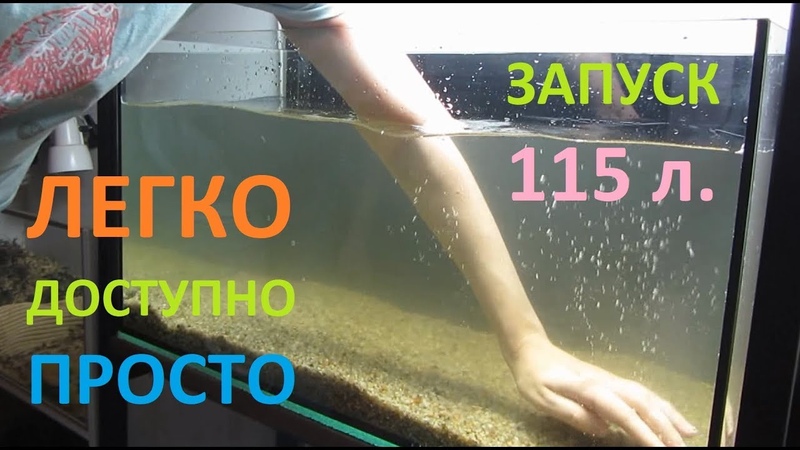 Запуск аквариума