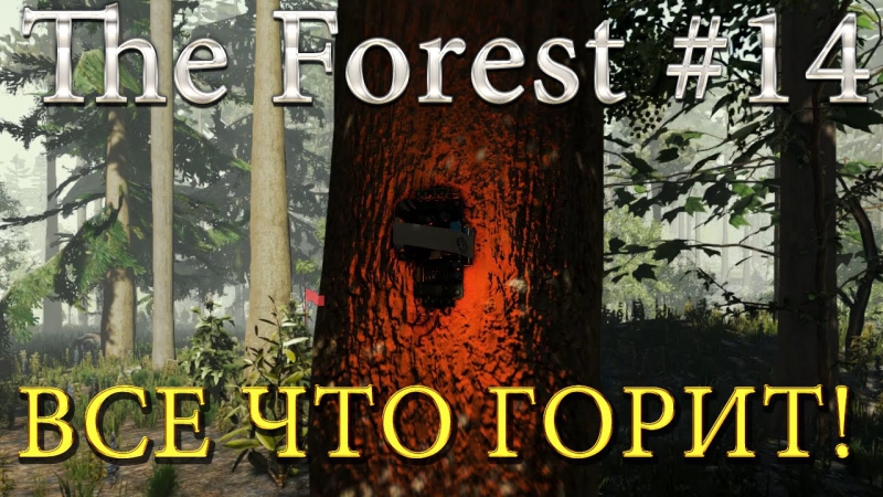 The Forest