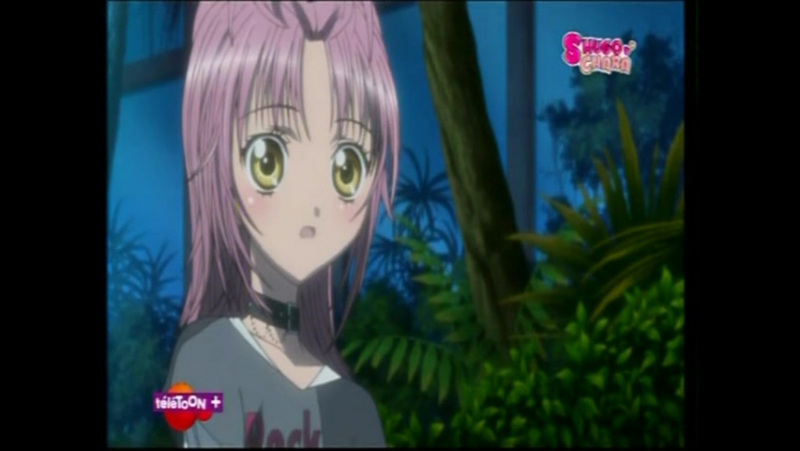 Shugo Chara