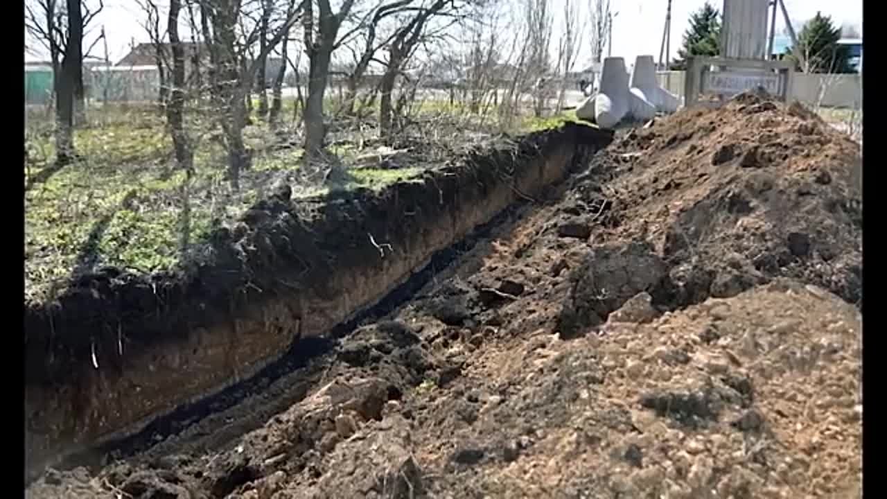 СЕМЬЯ РОМАНОВЫ