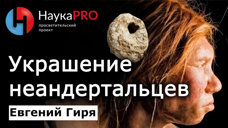 Каменный век