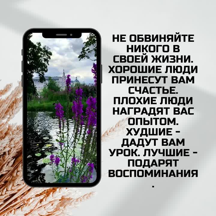 Мысли