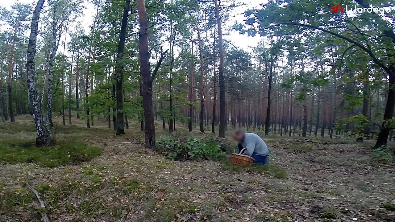Документальное видео о зомби