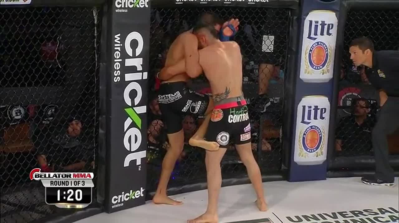 BELLATOR