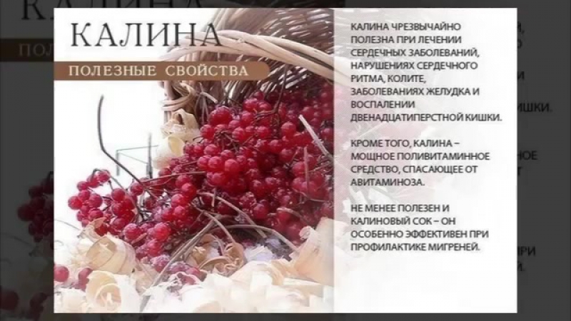 Полезные советы