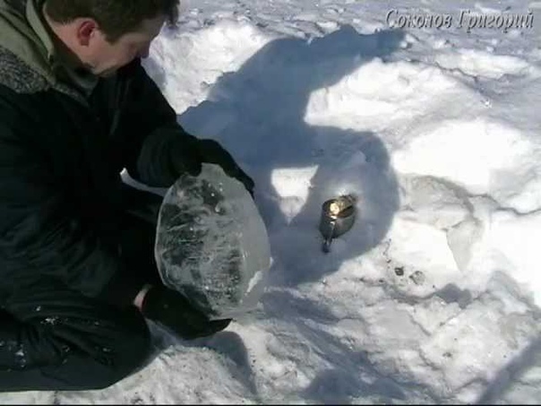 ВЫЖИВАНИЕ