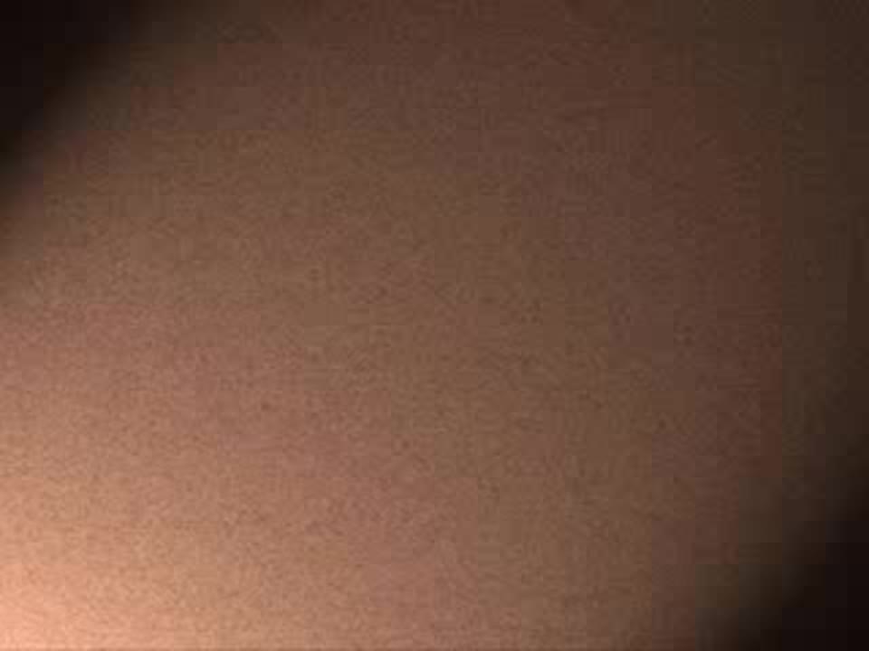 Русский язык - самый великий и могучий