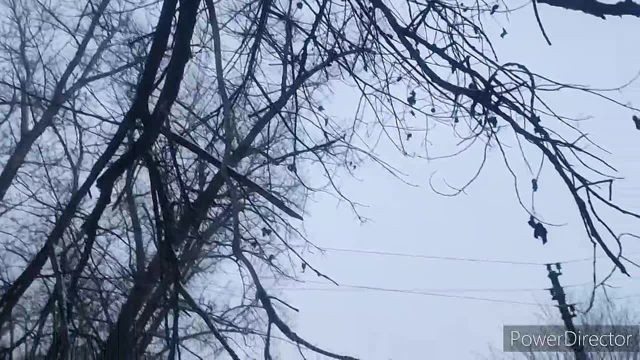 Выступления.