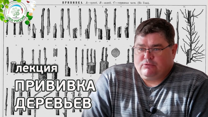 Подсобное хозяйство