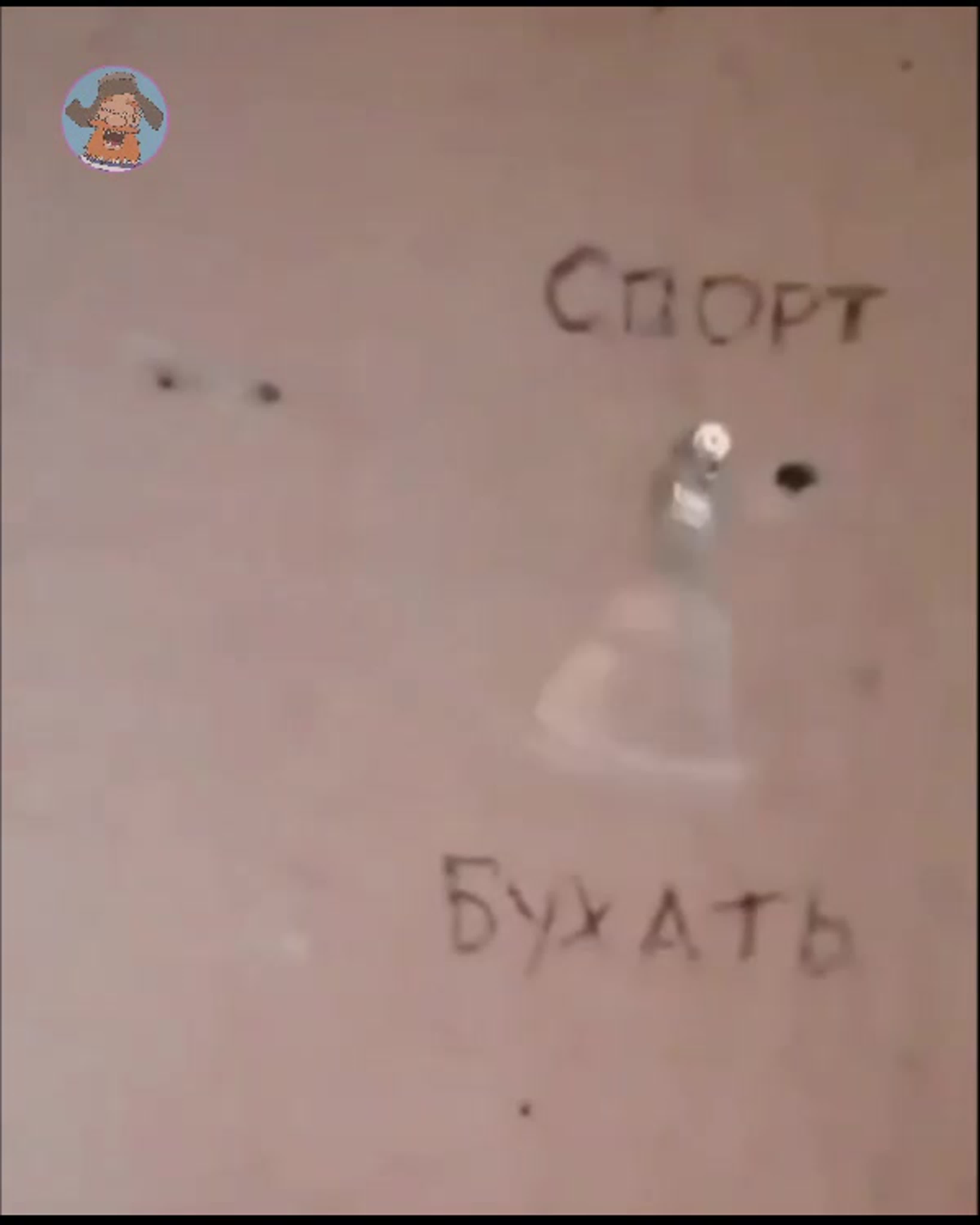 Спорт