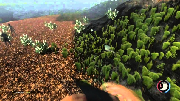 Minx Plays: The Forest