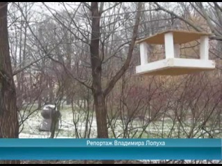 Календарь / 24.11.2014 г.