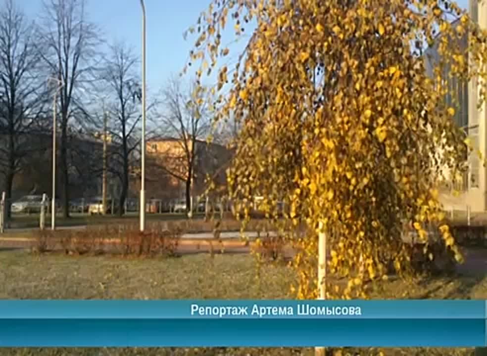 Календарь / 19.11.2014 г.