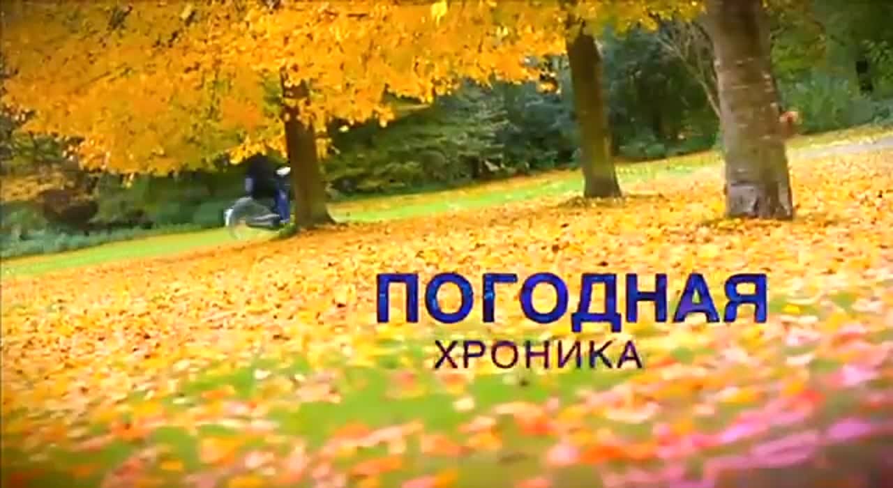 Календарь / 31.10.2014 г.