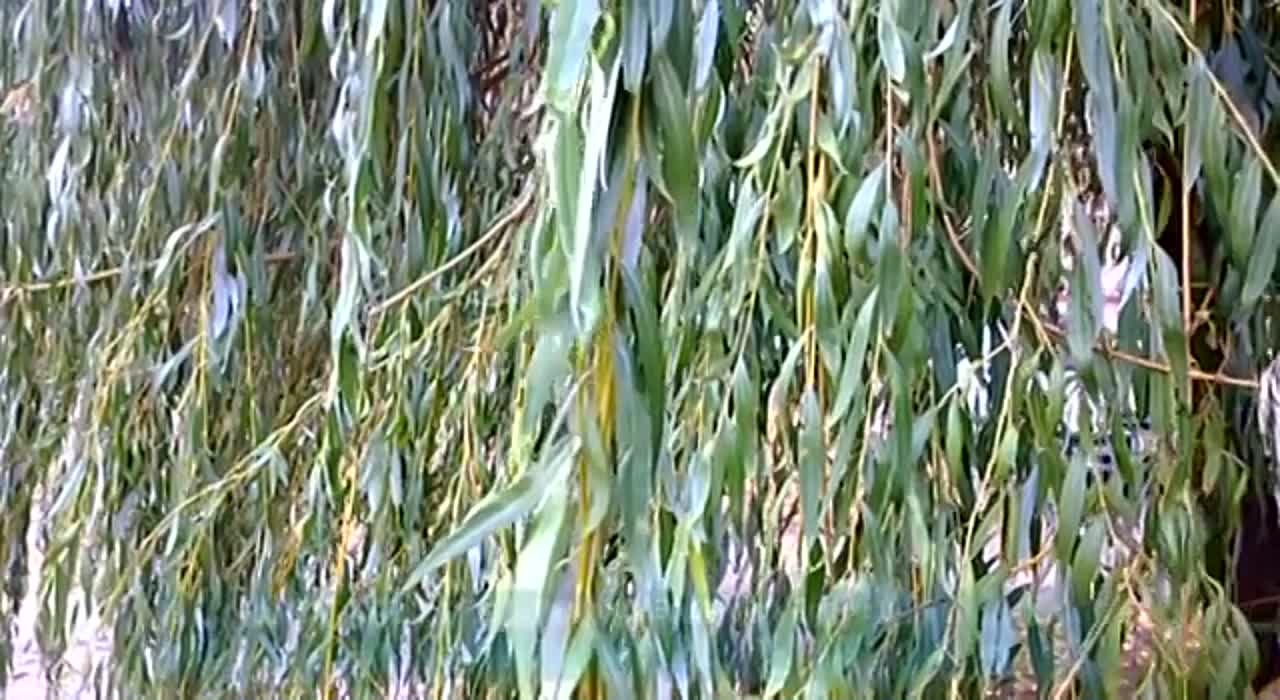 Календарь / 27.10.2014 г.