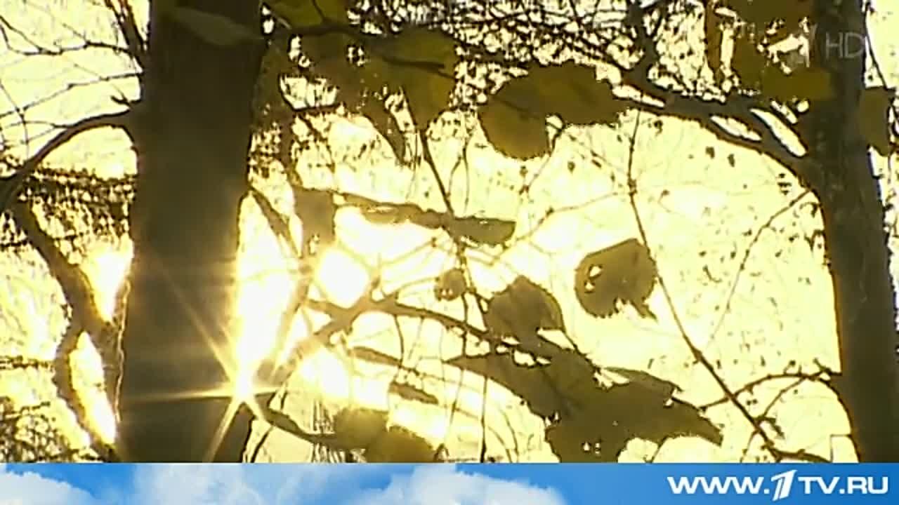 Календарь / 25.10.2014 г.