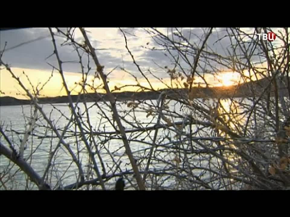 Календарь / 10.04.2014 г.