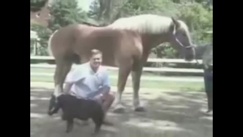 Фильмы