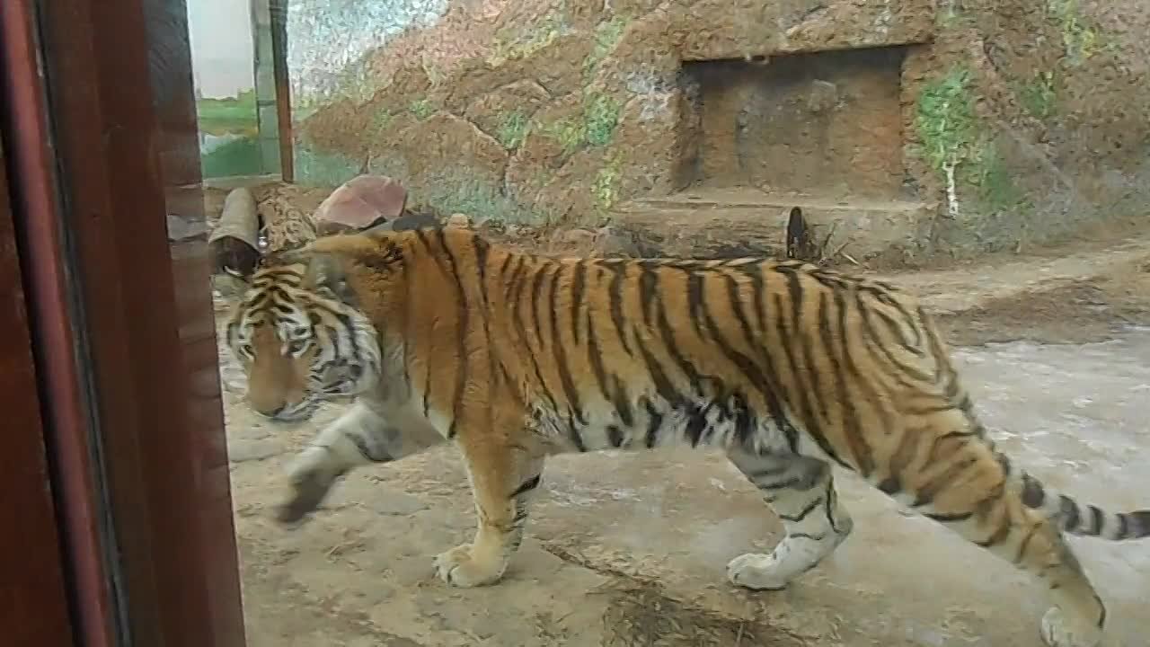 Нижний Новгород 2015