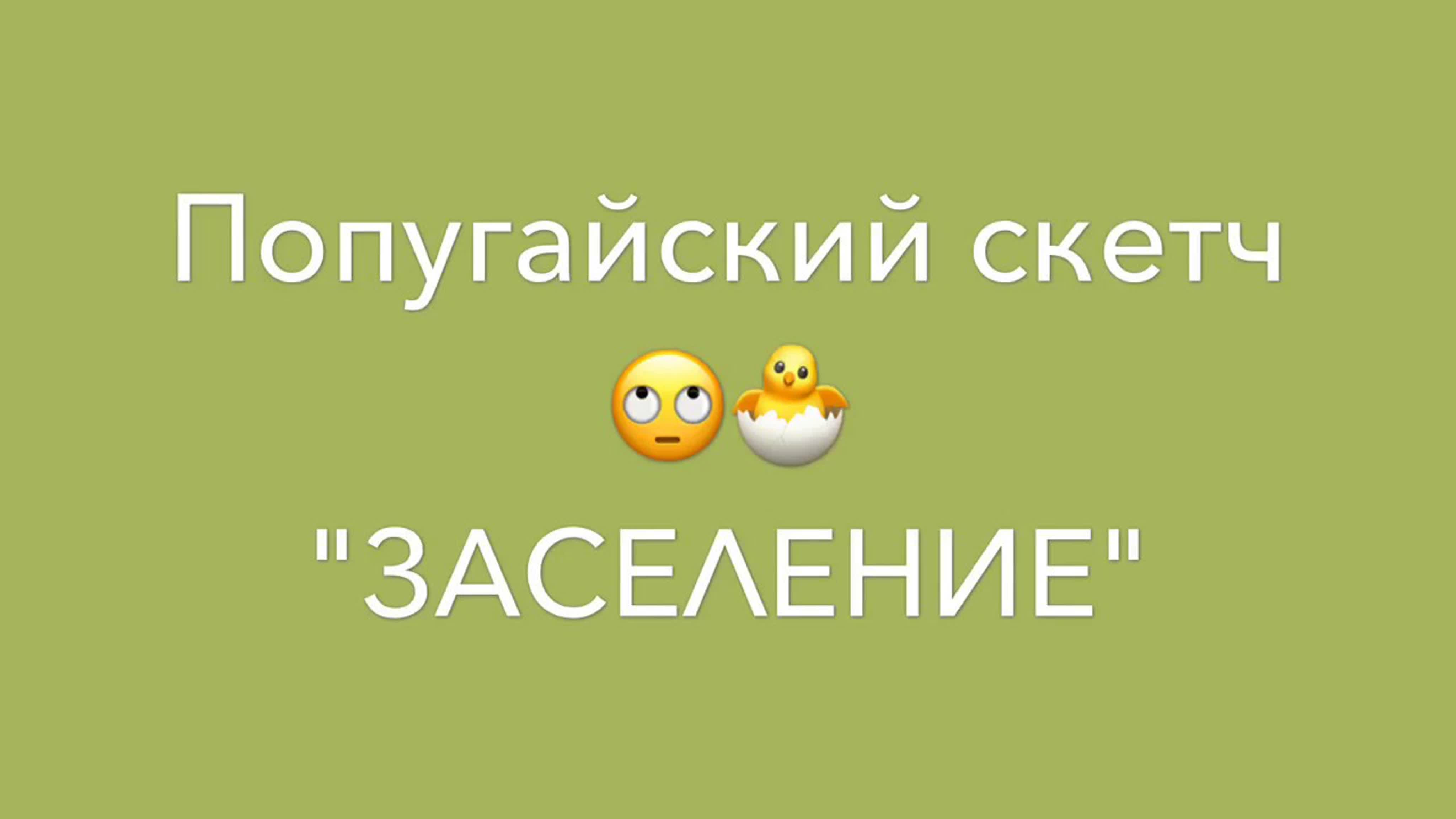 Попугайские скетчи\Подслушано и подсмотрено у попугаев\Юмор, сценки