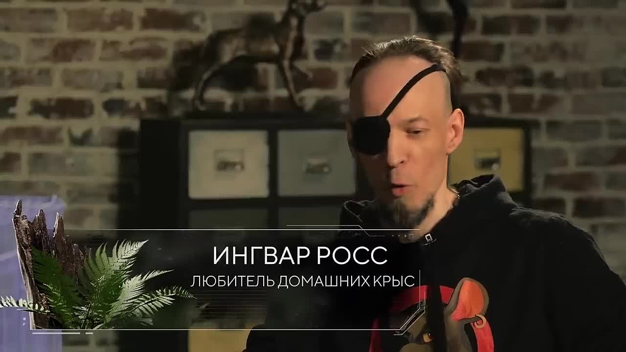 Любимые