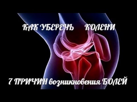 Кости Сухожилия Связки Вены