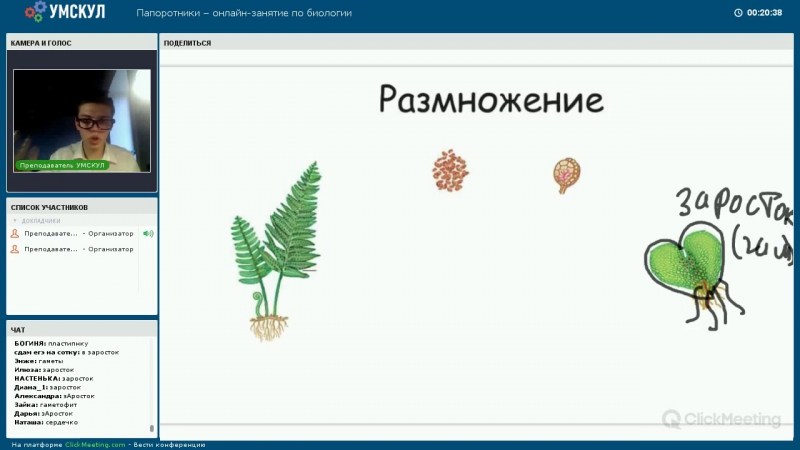 Мастер-классы от Умскул