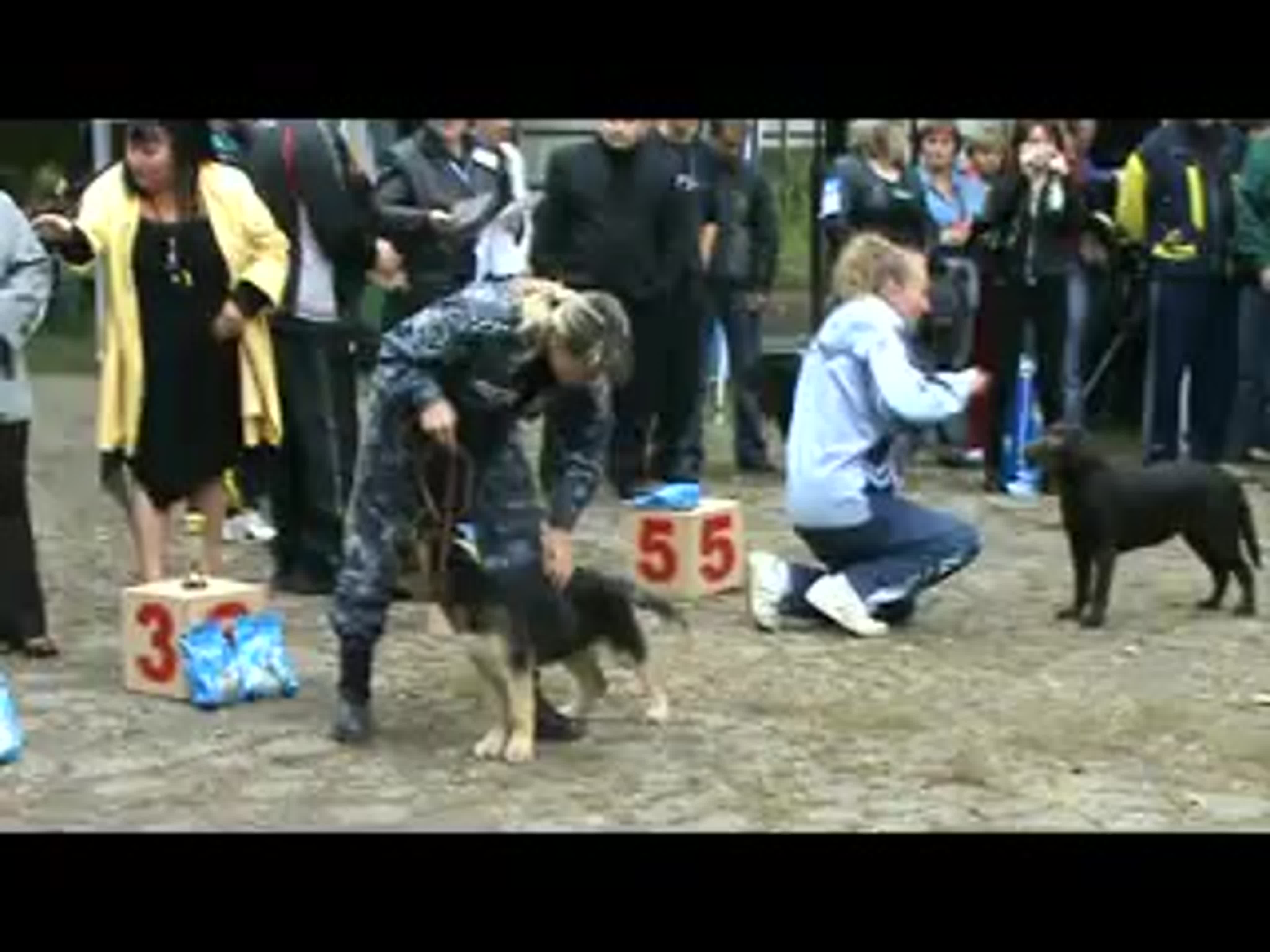 Выставка 13.09.2009 год г.Луганск КС"Рибо" ОСОУ.