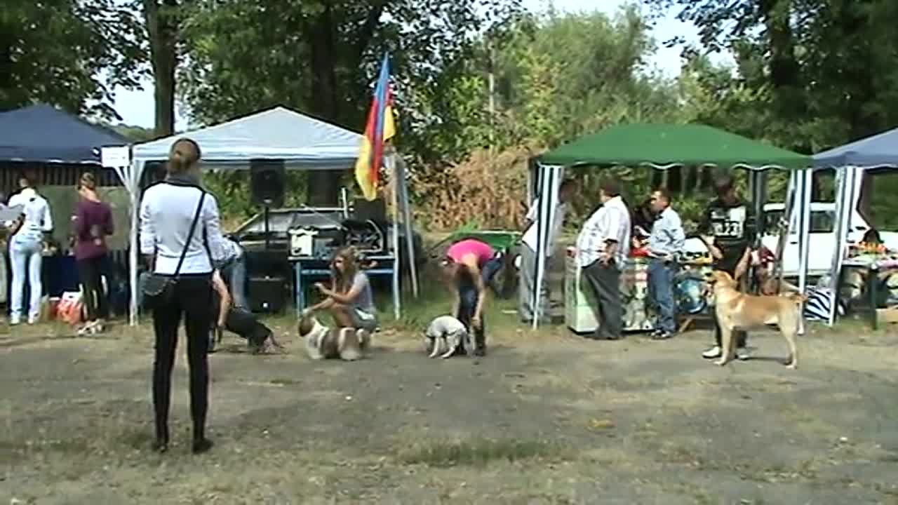 05.09.2010 выставка собак КС "Рибо" г.Луганск