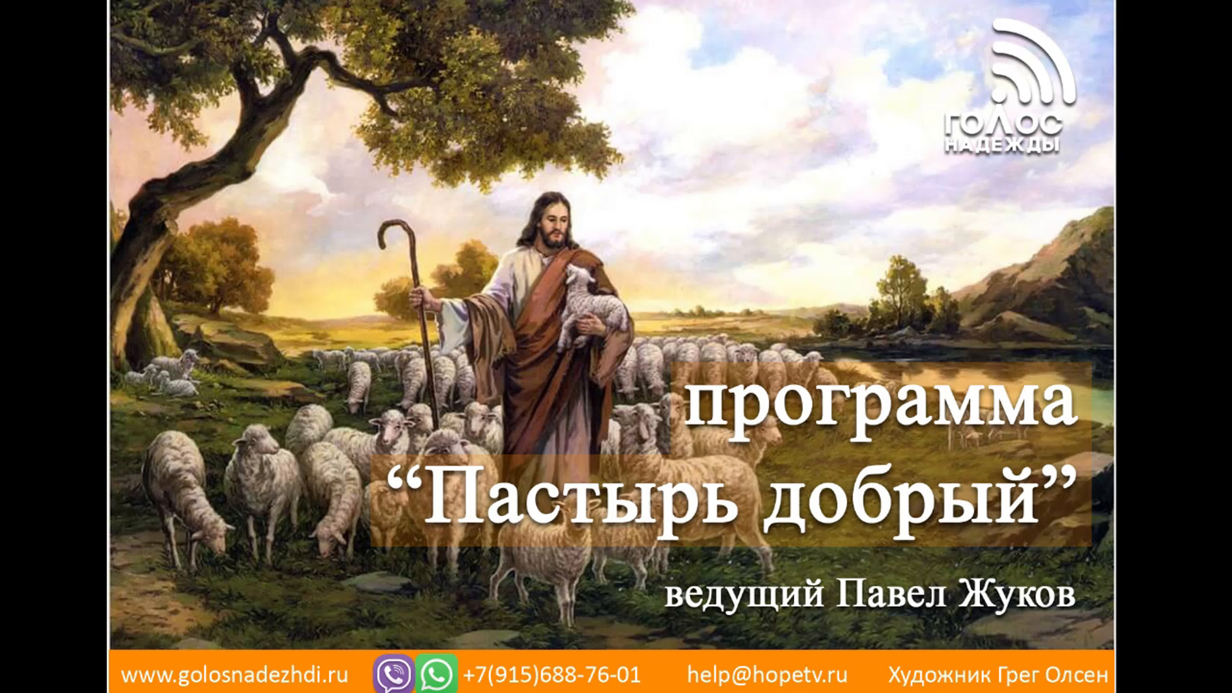 Программа "Пастырь добрый", ведущий Павел Жуков