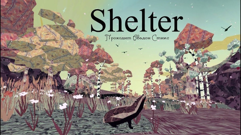 Shelter