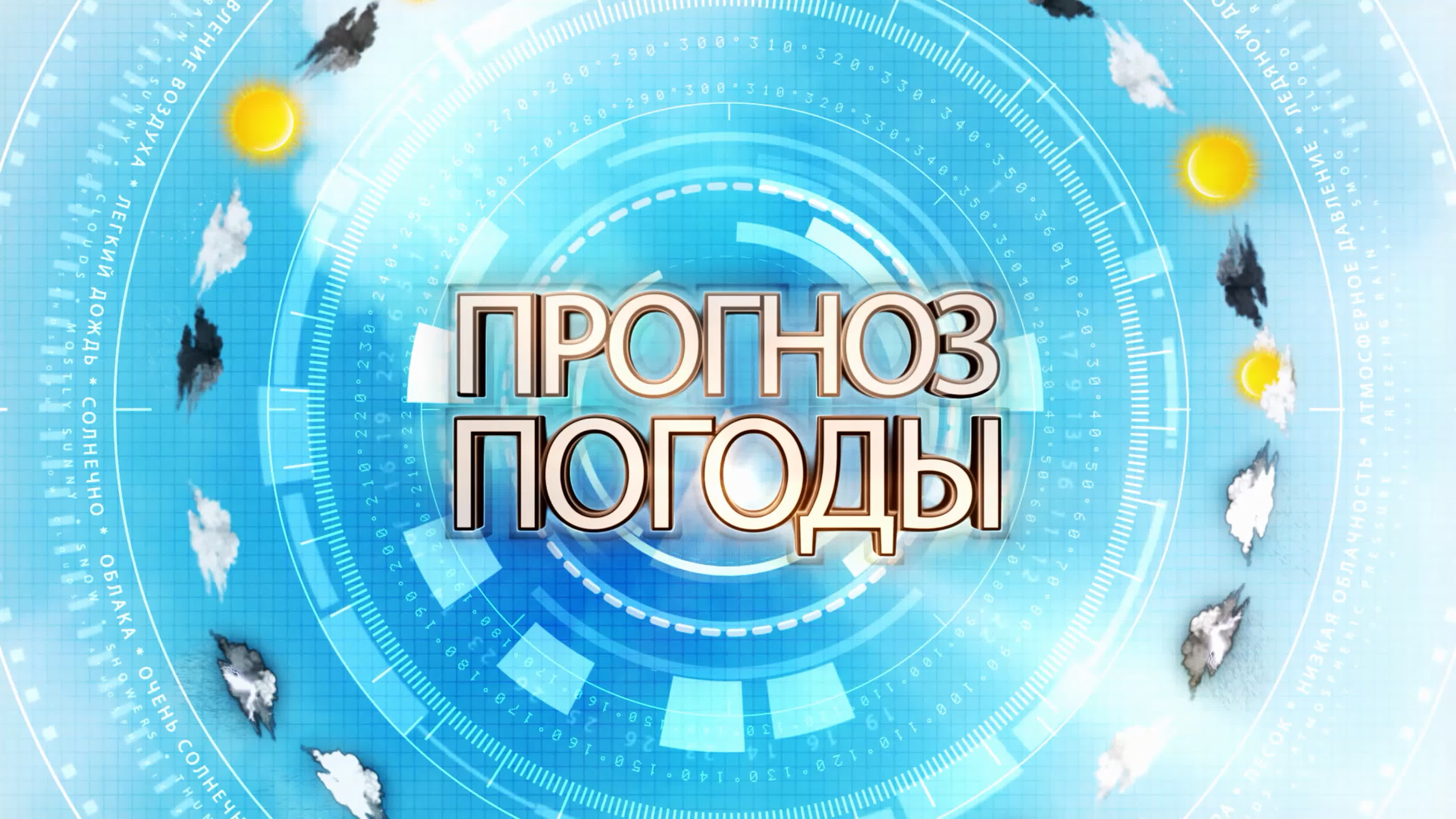 Видеопоздравления
