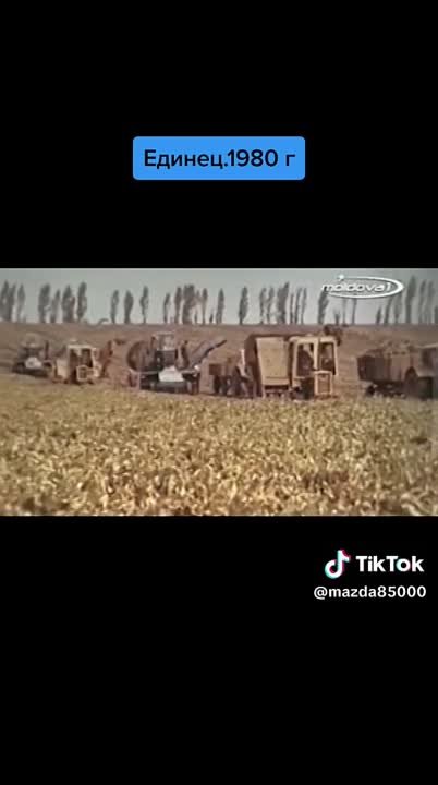 документалка