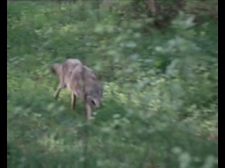 Художественные фильмы всех жанров.