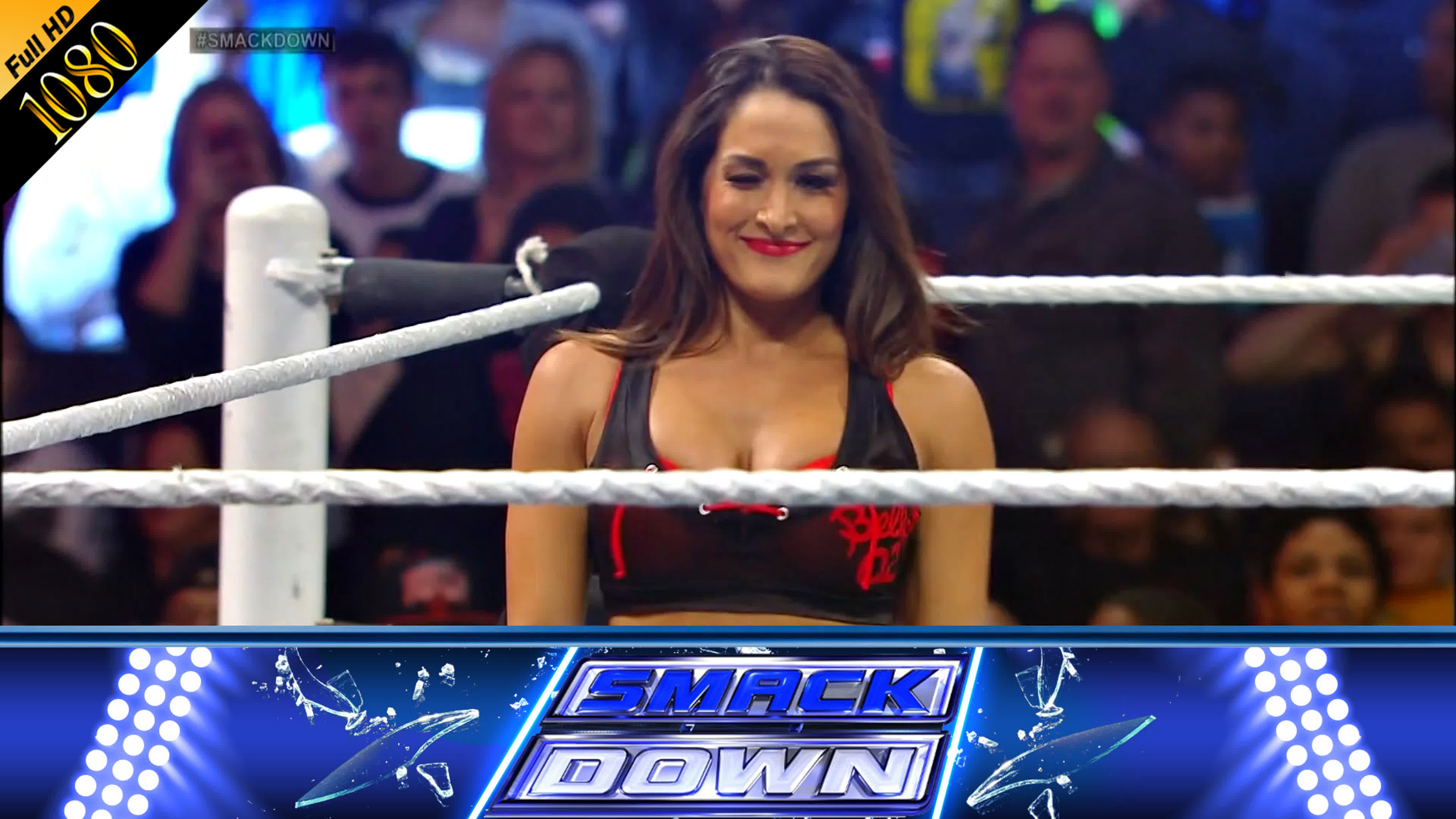 Smackdown ▪ 2014