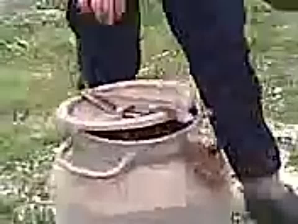 Мои любимые