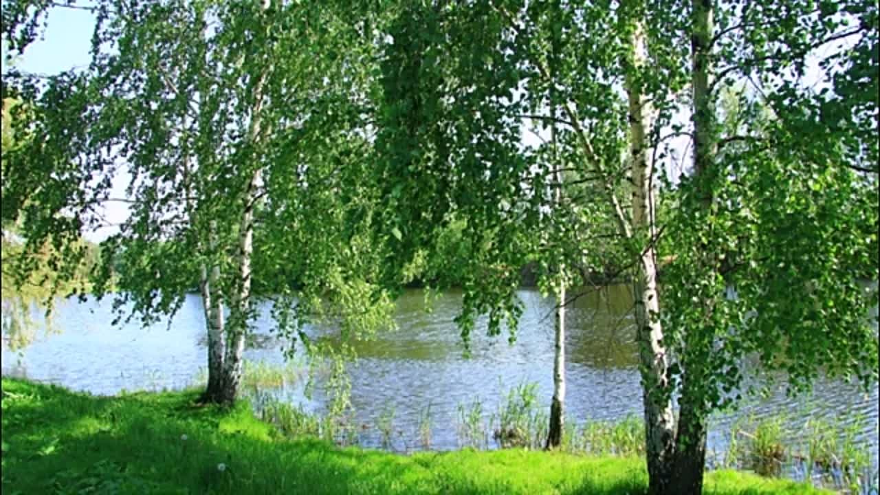 * Николай Жуков *
