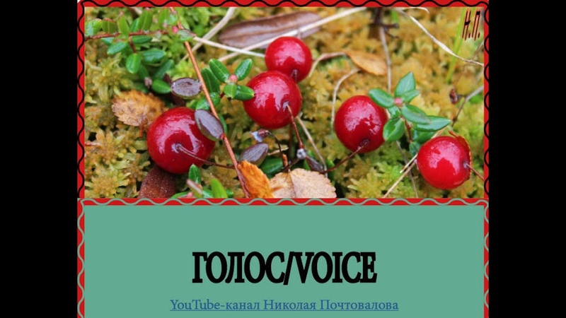 Чеченская республика. Грозный
