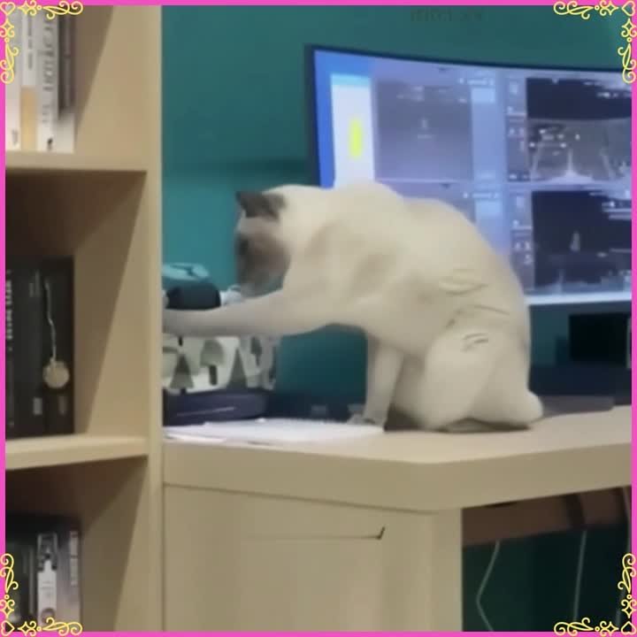 ЮМОР