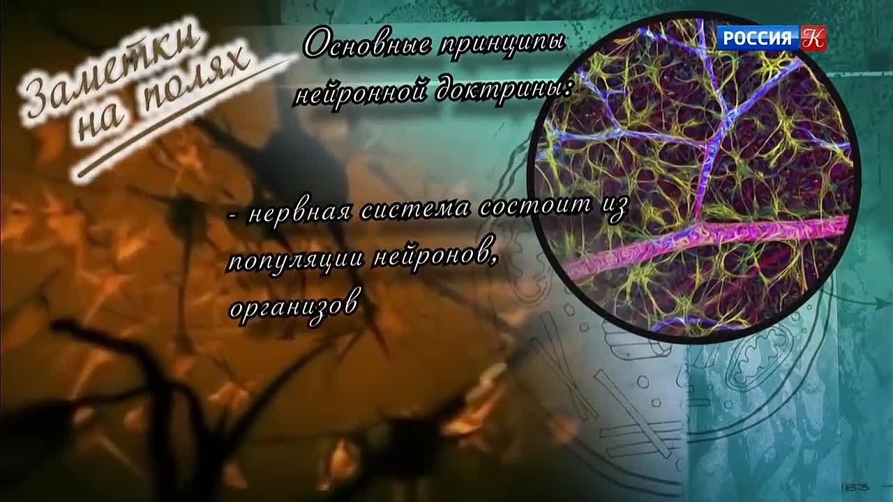 Жизнь замечательных идей". Секреты живой клетки.