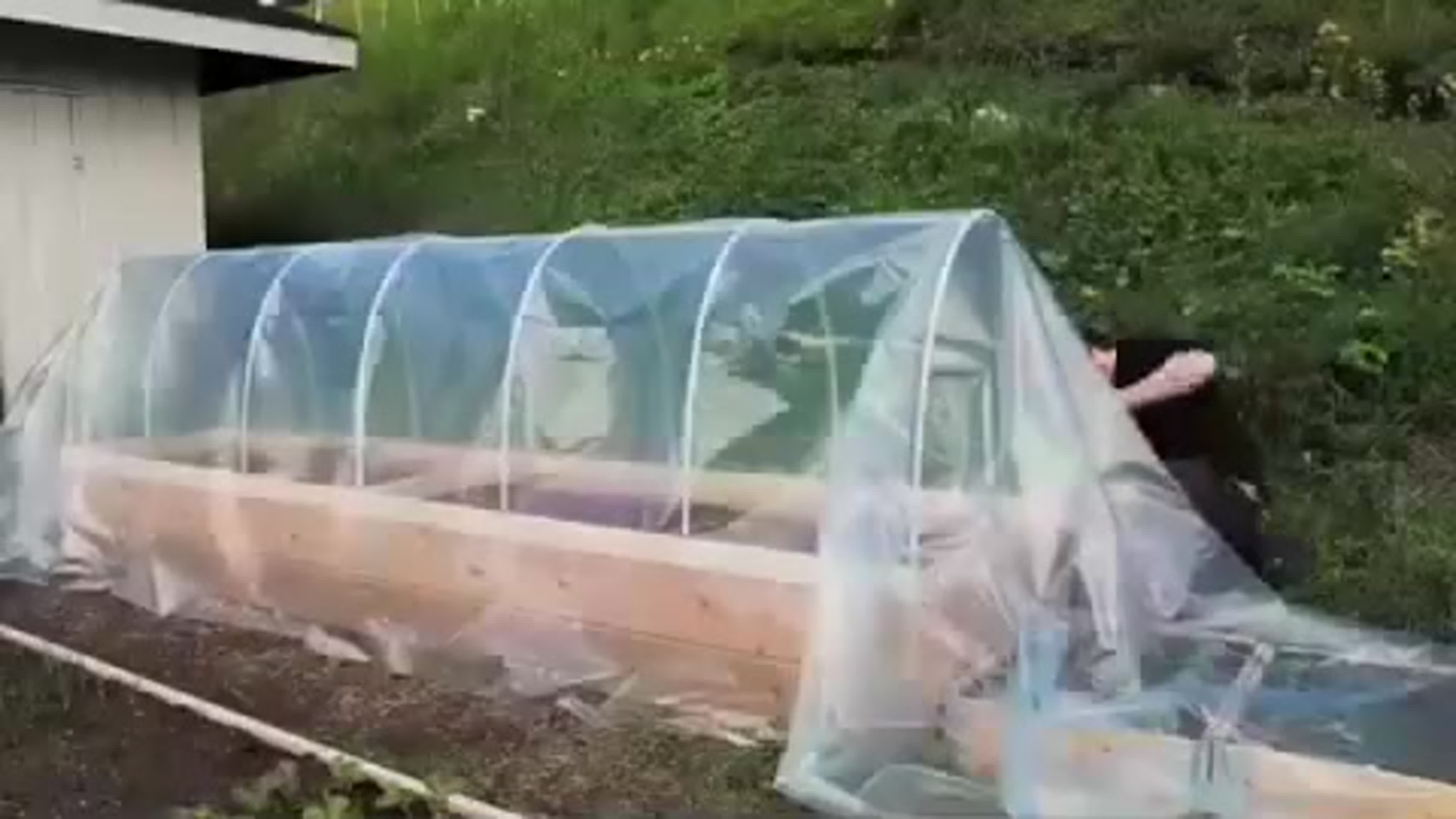 Строй