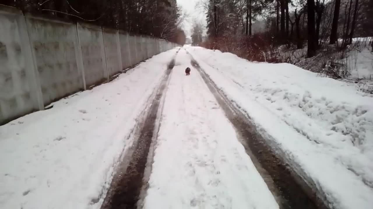 02.03.2019