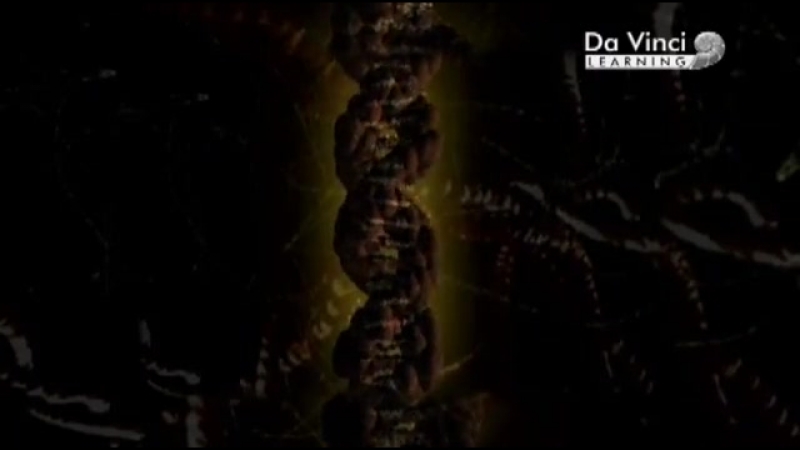 Генетический код (2011) #Da_Vinci@doc_videoo