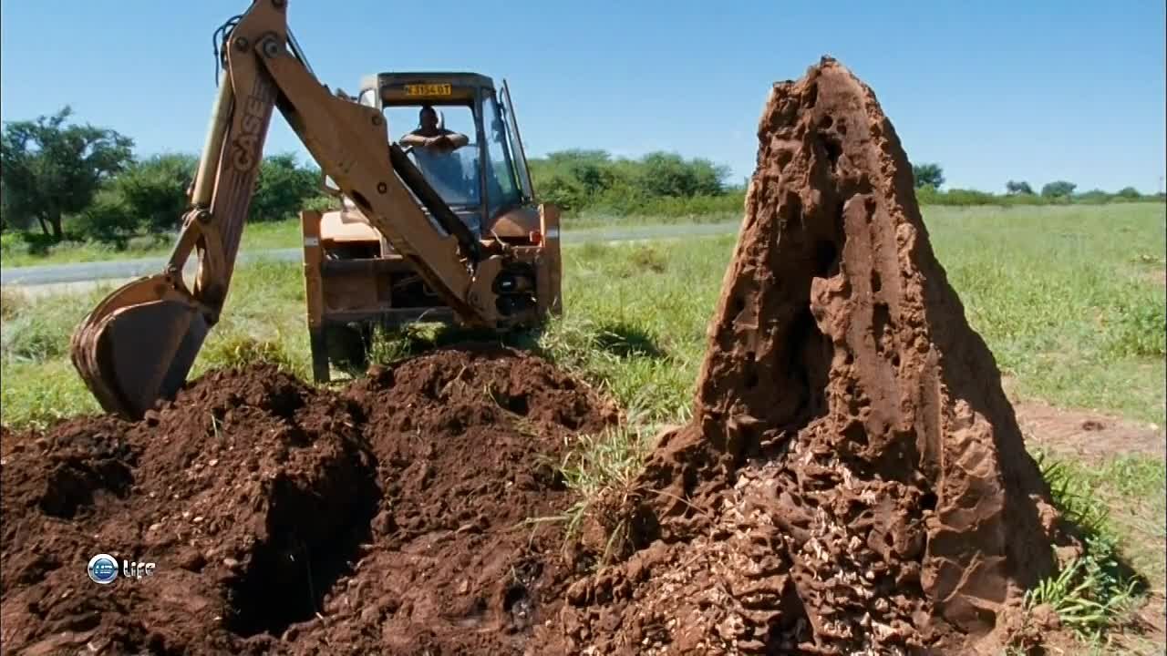 Технология от природы / Nature Tech