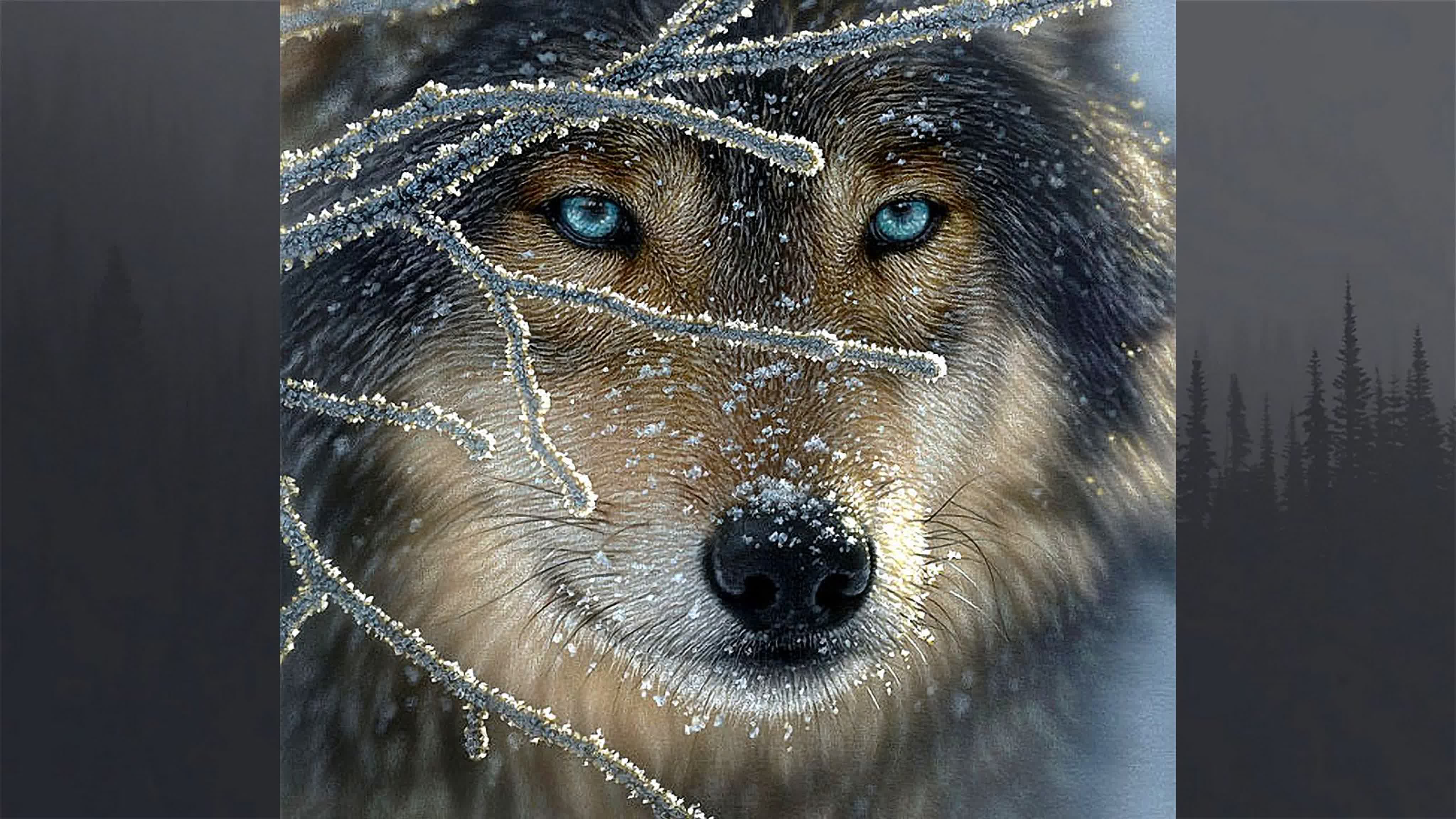 Анимализм