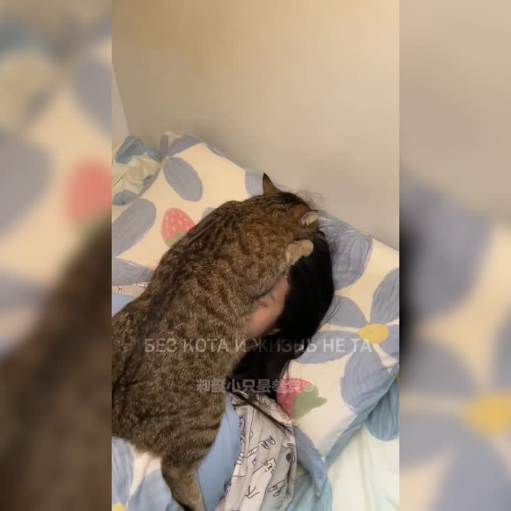 Прикольное видео