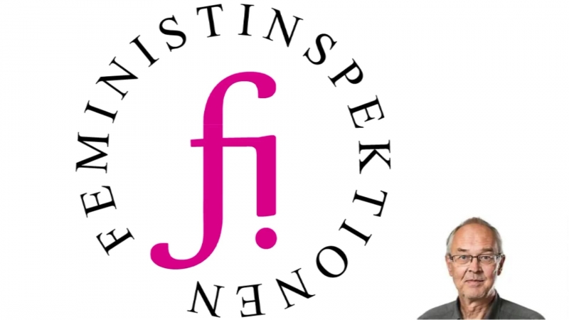 Feministinspektionen