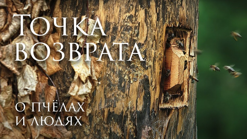 ПЧЕЛОВОДСТВО
