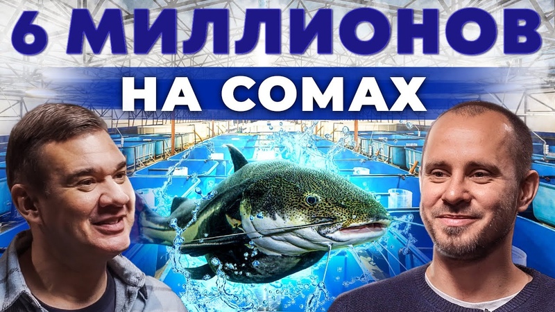 РЫБОВОДСТВО